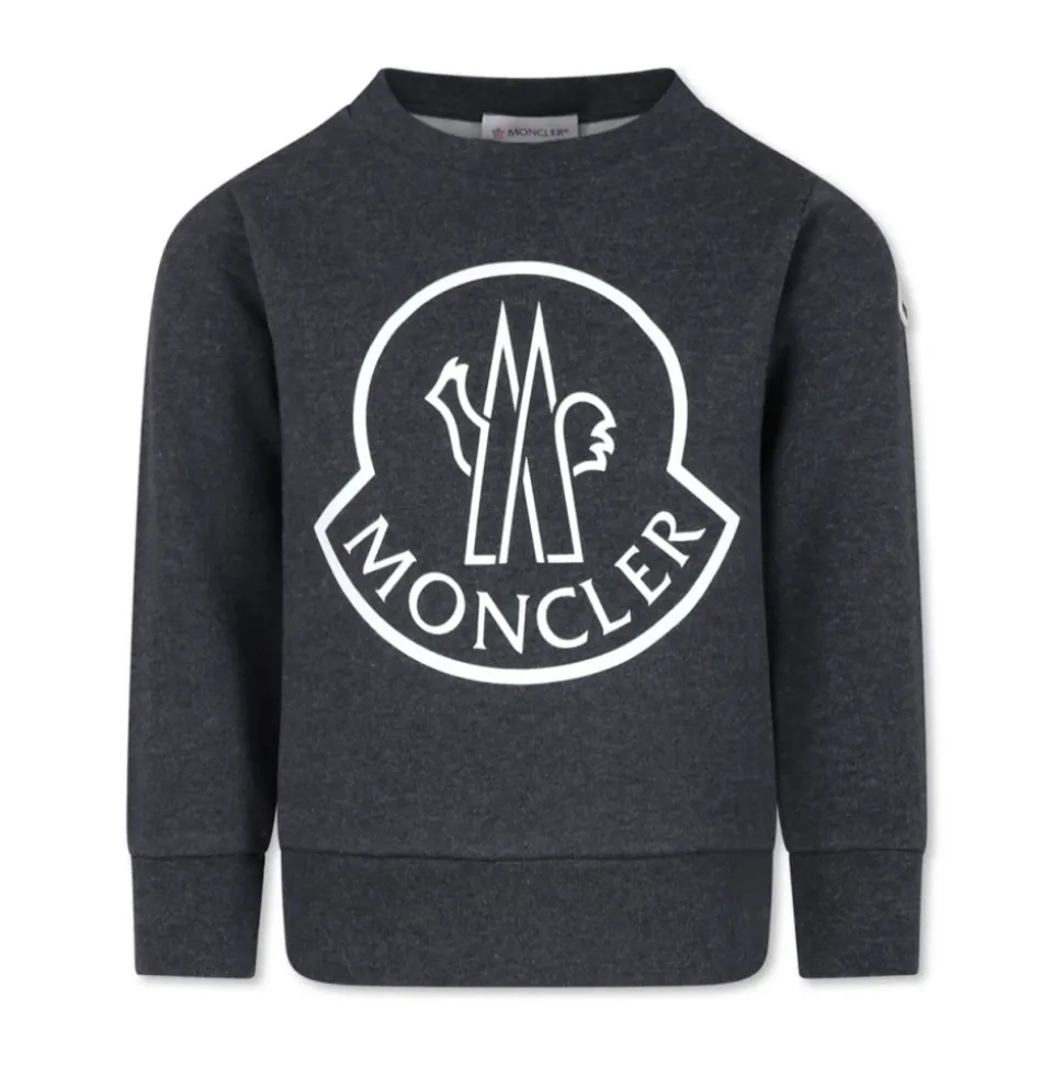 Barn Grå Sweatshirt Sweaters