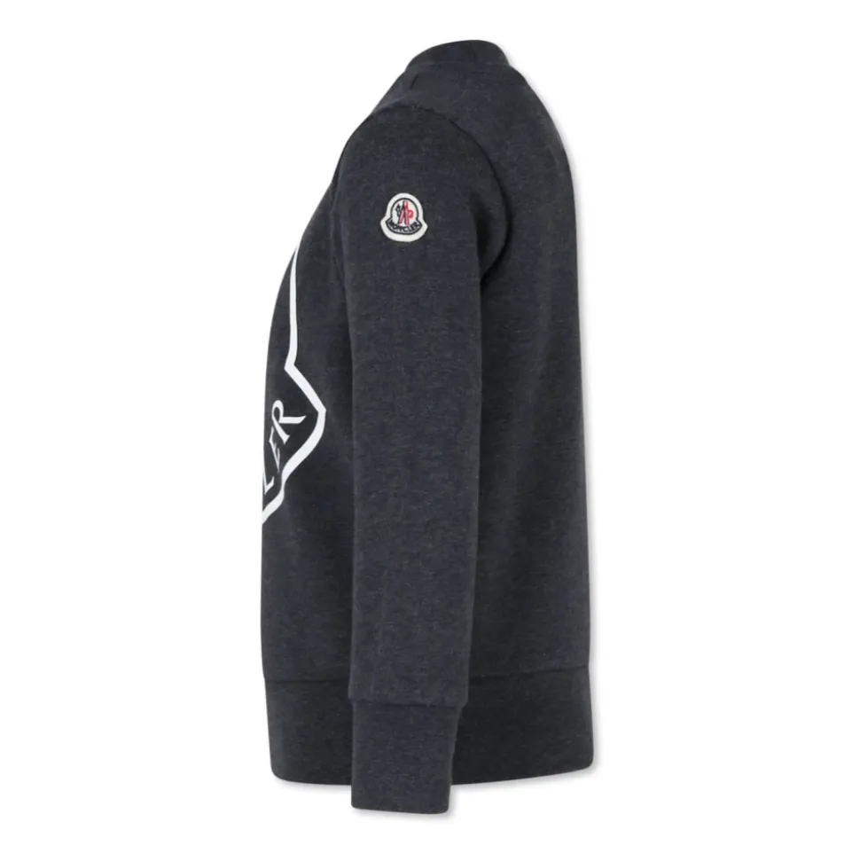 Barn Grå Sweatshirt Sweaters