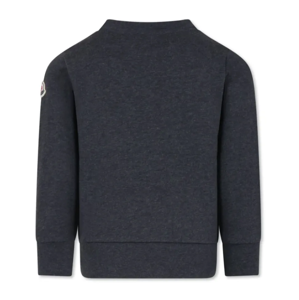 Barn Grå Sweatshirt Sweaters