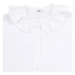 Camicia M. Lunga