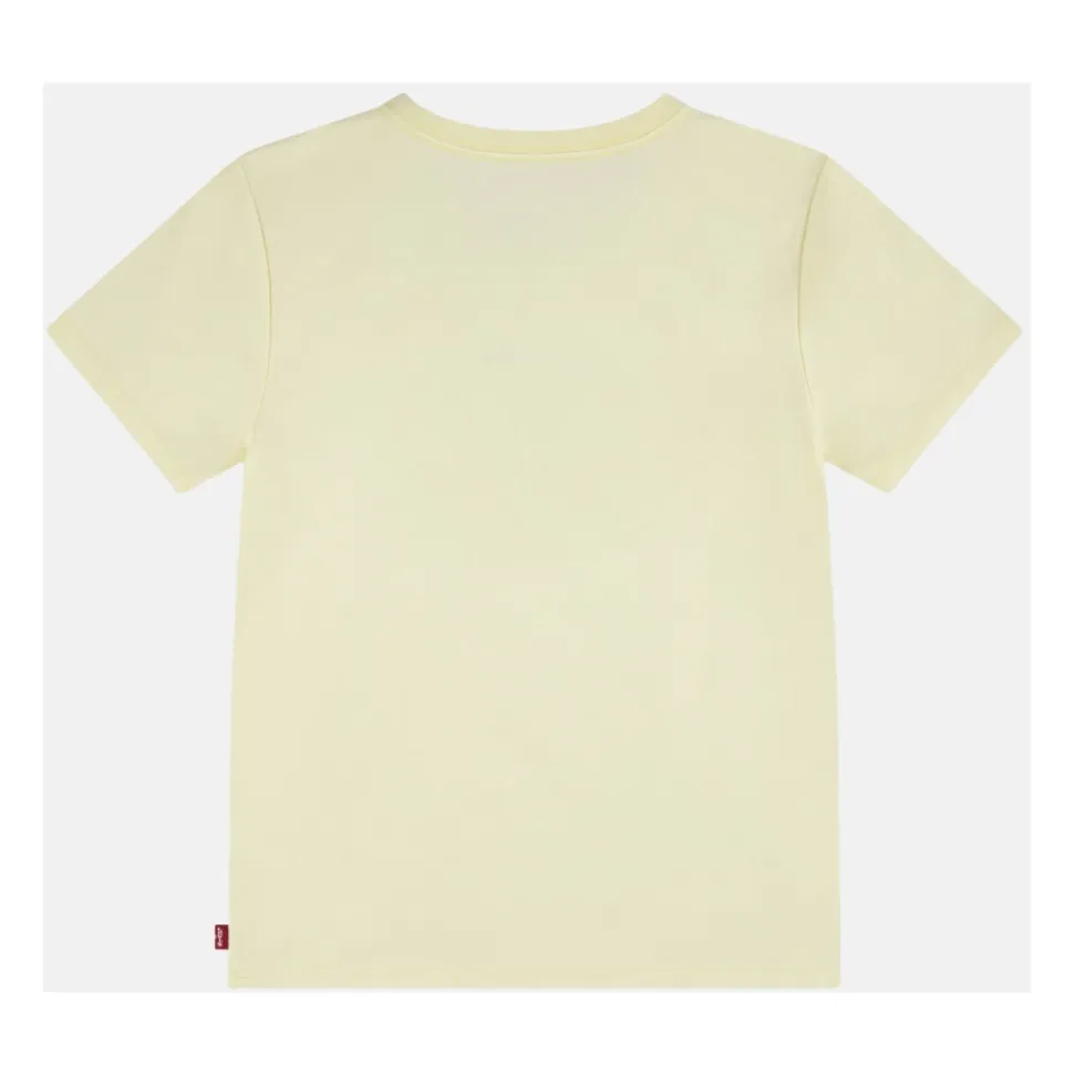 Chambray Applique To
