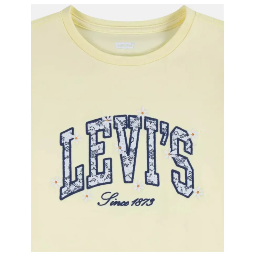 Chambray Applique To