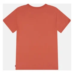 Chambray Applique Top