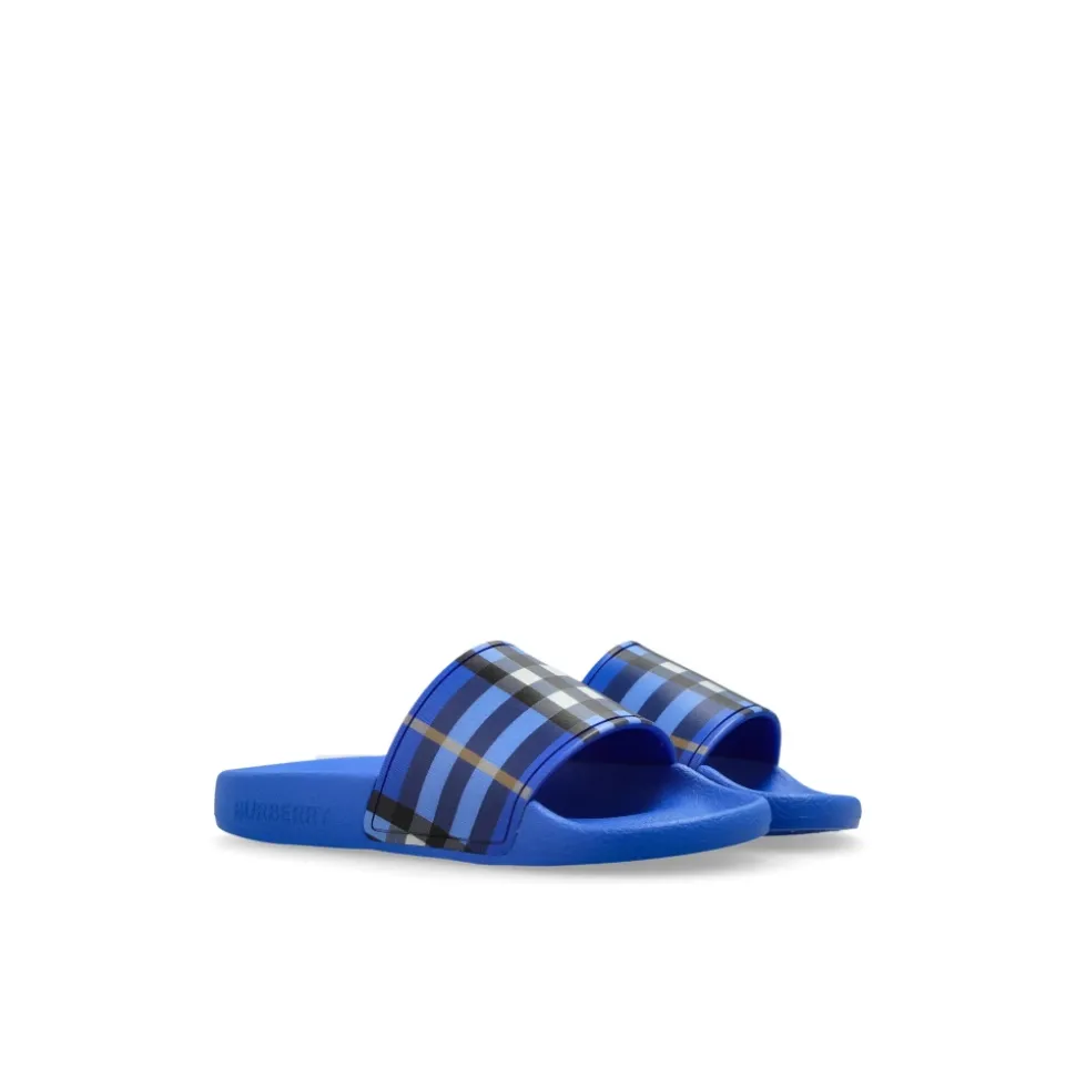Check Slides