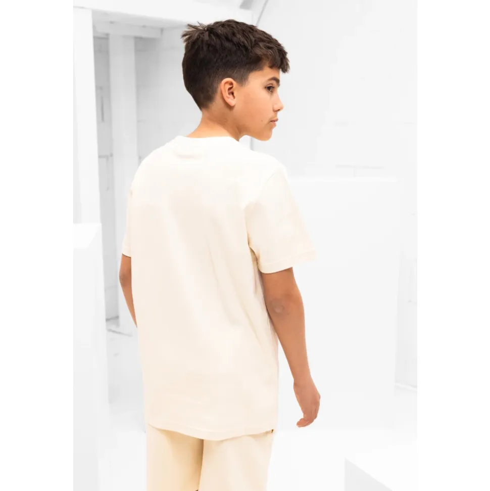 Circle Logo Zomerset