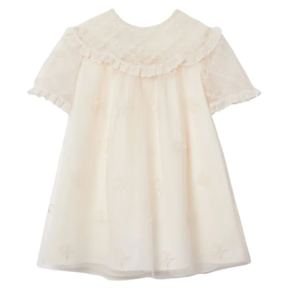 Embroidered Tulle Dress