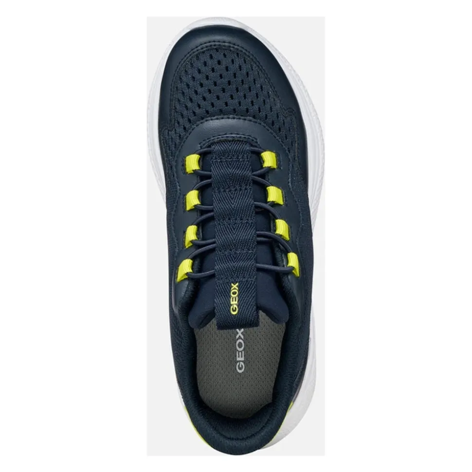 Fashion Sneakers
