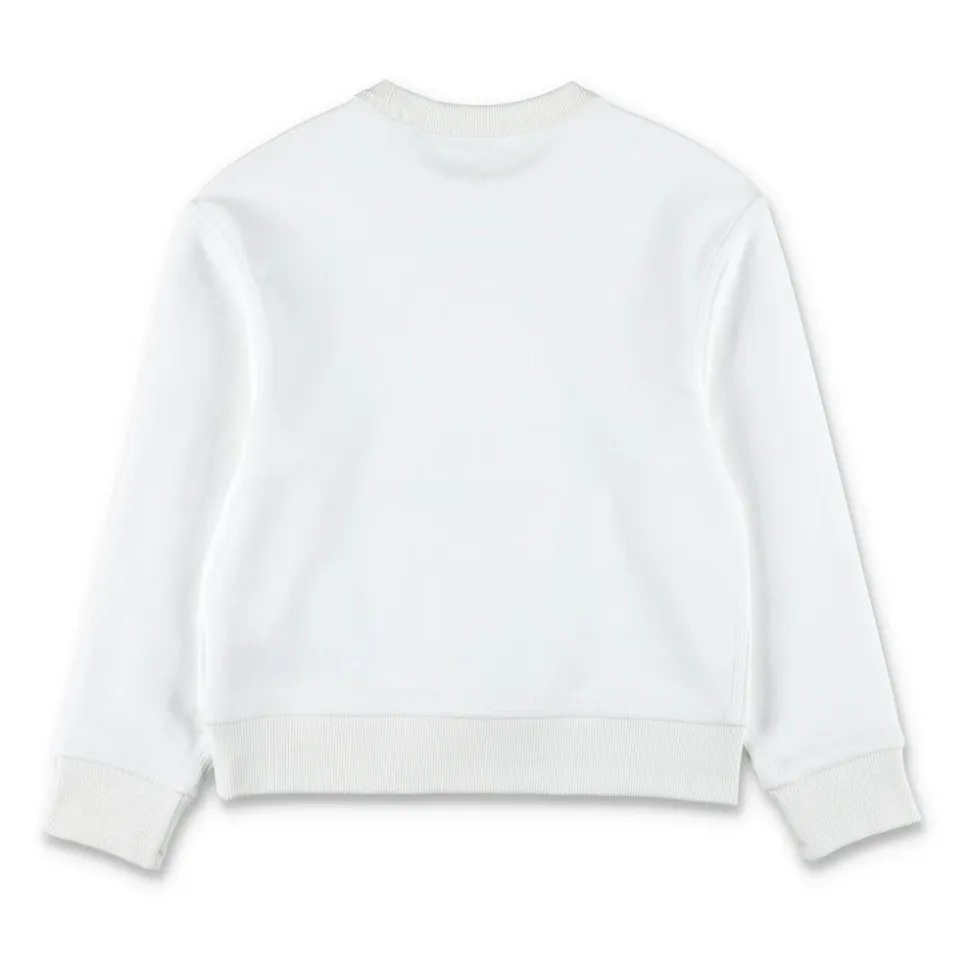 Fleece Bear Logo