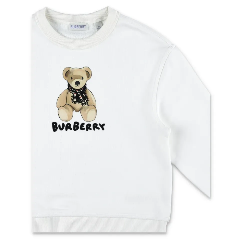 Fleece Bear Logo