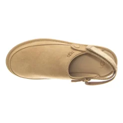 Goldenstar Clog