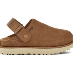 Goldenstar Clog Chestnut