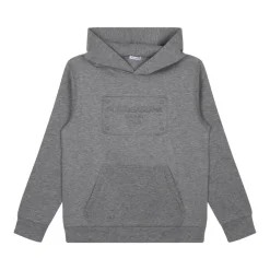 Grå Logo Print Hoodie