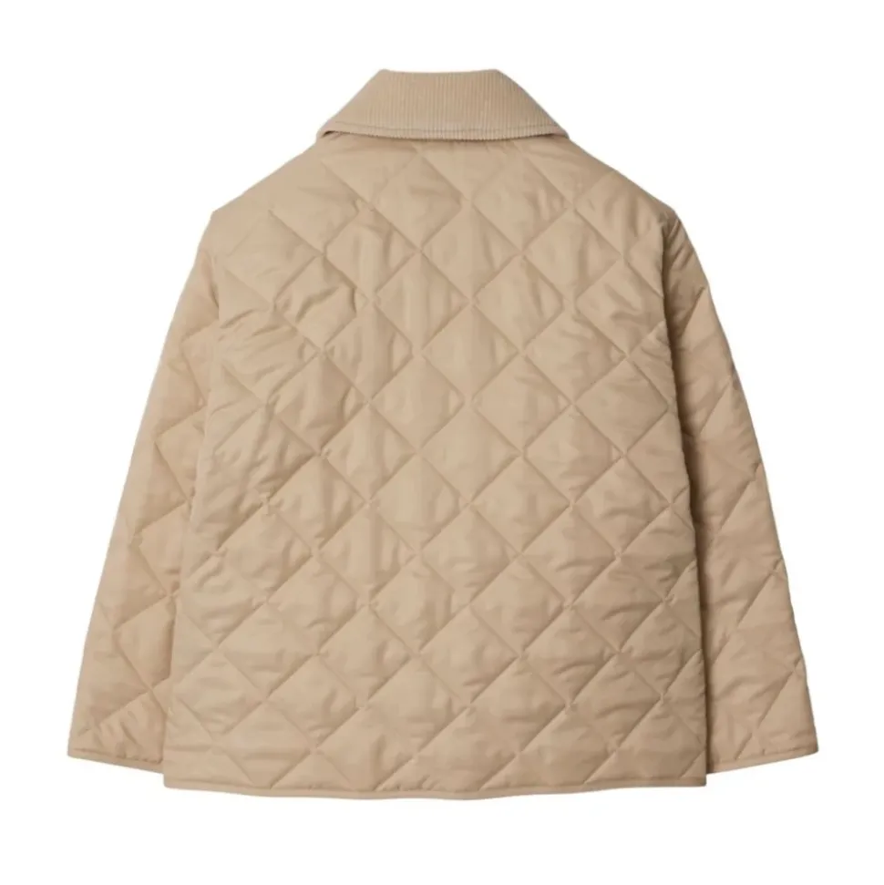 Indy Jacket