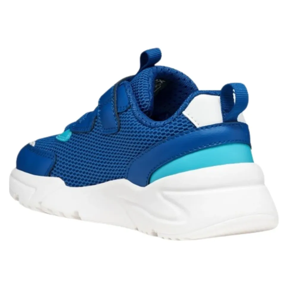 Loftus Sneakers