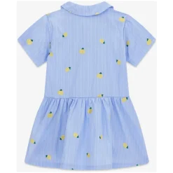 Poplin Striped Lemons Dress