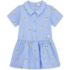 Poplin Striped Lemons Dress
