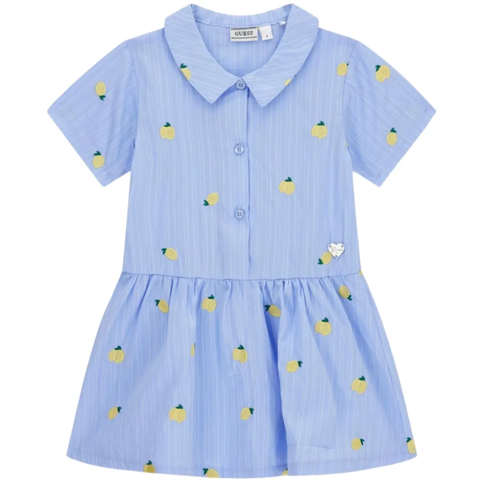 Poplin Striped Lemons Dress