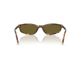 Regard Sunglasses