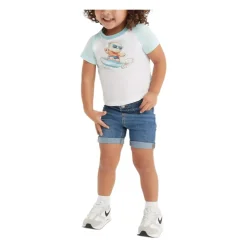 Surfing Bear Set