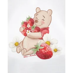 Winnie the Pooh Set